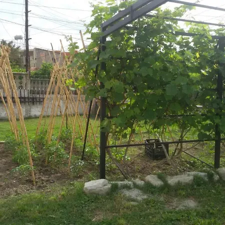 Budi Vlorë