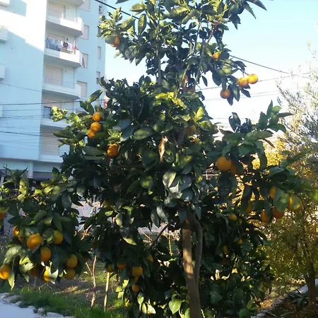 Budi 别墅 Vlorë