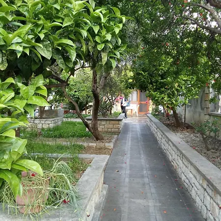Budi * Vlorë