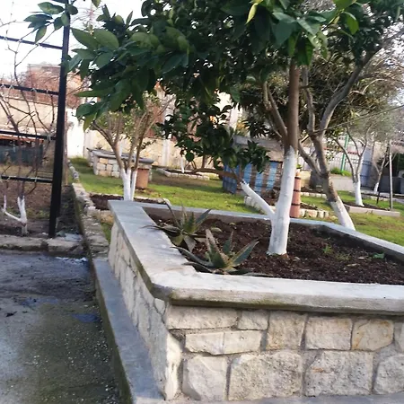 Budi * Vlorë