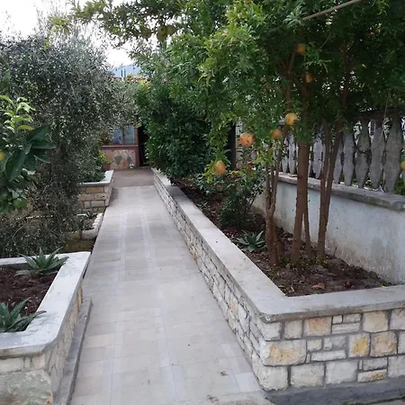 Budi Vlorë